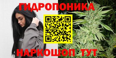 молекула духа Жуковский