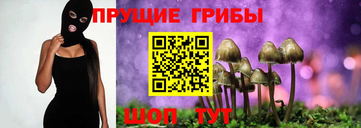 Галлюциногенные грибы GOLDEN TEACHER Луга